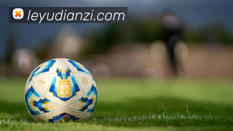 乐鱼电子服务体系